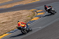 anglesey-no-limits-trackday;anglesey-photographs;anglesey-trackday-photographs;enduro-digital-images;event-digital-images;eventdigitalimages;no-limits-trackdays;peter-wileman-photography;racing-digital-images;trac-mon;trackday-digital-images;trackday-photos;ty-croes